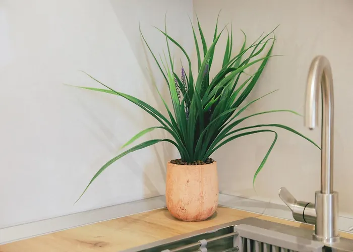 Couette-café Tabaku