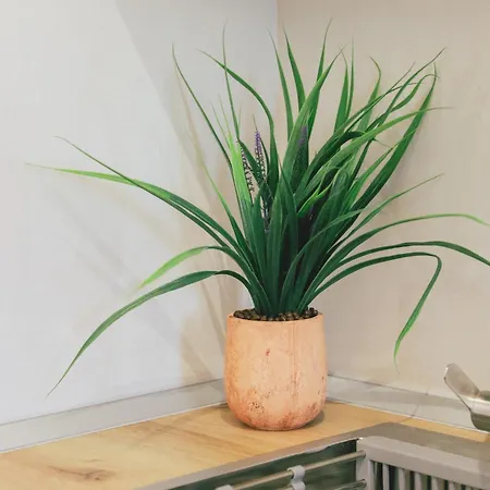 住宿加早餐酒店 Tabaku